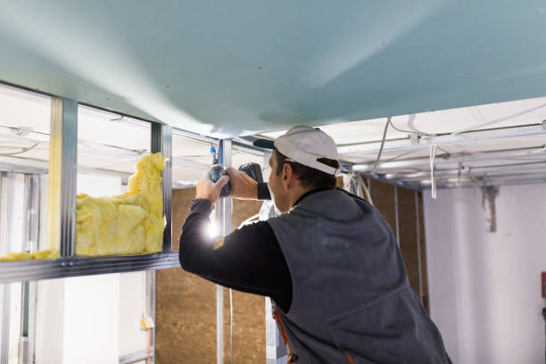 Best Residential Insulation in Campbell, OH