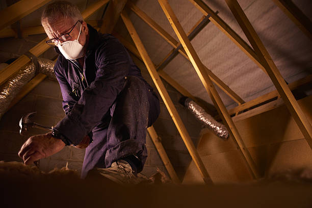 Best Eco-Friendly Insulation in Campbell, OH